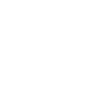 sdi logo
